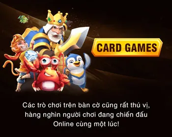 Đa dạng trận đấu và trường gà